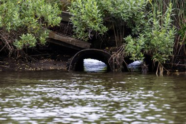 Su, sakin bir nehrin kıyısındaki yemyeşil sularla çevrili bir borudan sızar..