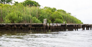 Yıpranmış ahşap kazıklar, bulutlu bir günde yoğun bitki örtüsüyle çevrili sakin sulardan çıkar..
