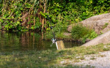 Huzurlu bir nehir kıyısında, yakınlarda yeşillik olan ahşap bir direğe bir olta konur..