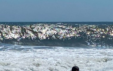Sığ sularda dalgaların sahile vuruşunu seyreden bir insan sığ güneşin tadını çıkarır..