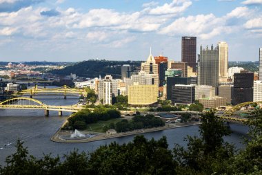 Pittsburgh, Pennslyvania, ABD - 8 Ağustos 2023: Pittsburgh 'un belirgin köprüleri ve yemyeşil nehir kenarlı parkları ile berrak bir gökyüzü zeminine karşı canlı ufuk çizgisi.