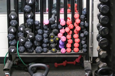 Batı Islip, New York, ABD - 16 Şubat 2025: Parlak renkli dambıllar bir spor salonundaki raflarda düzgünce düzenlenmiştir.