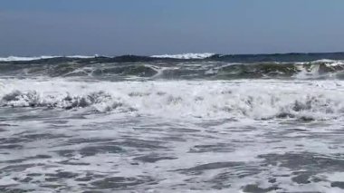 Ağustos 2024 'te Debby Kasırgası' ndan aktif Atlantik Okyanusu suları karıştırıyor..