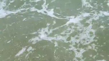 Okyanus dalgaları deniz kıyısında yuvarlanırken onları seyrediyor..