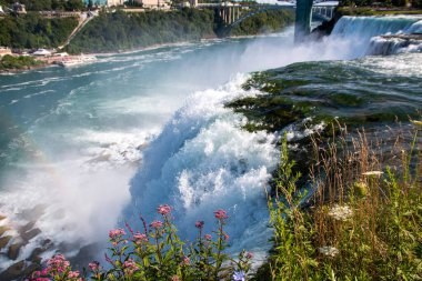 Su, gün ışığında Niagara Şelalesi 'nde canlı çiçeklerle çevrili kayaların üzerinden güçlü bir şekilde akar., 