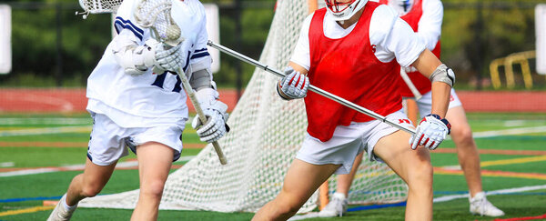 Two players clash on the field while aiming for the ball in this lacrosse game.