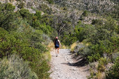 Kızıl Kaya Kanyonu 'ndaki yemyeşil bitki örtüsü ve tepelerle çevrili kayalık bir patika boyunca yürüyen birinin arka görüntüsü..