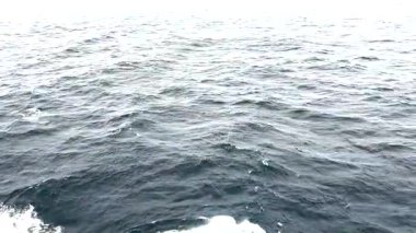 Büyüleyici manzara bir yolcu gemisinden okyanusa bakıyor..