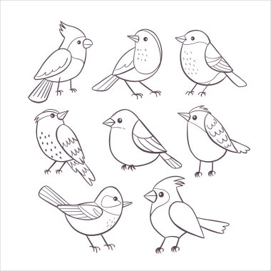 Şirin kuşlar. Karalama çizgisi tarzı el yapımı kuş koleksiyonu. Yüzey tasarımları, baskılar ve el işi projeleri için mükemmel. Vektör illüstrasyonu.