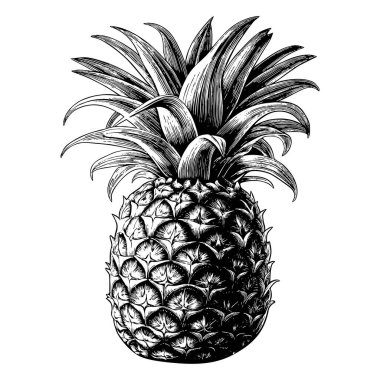Ananas oymacılığı elle izole edilmiş meyve vektörü çizimi