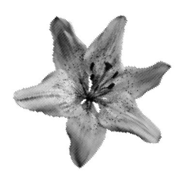 Modaya uygun y2k retro kolajlar için yarım ton zambak çiçeği. Vektör desenli çiçek