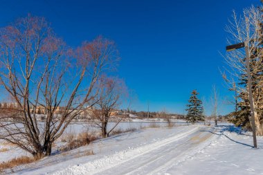 Kışın Gabriel Dumont Parkı. Saskatchewan, Kanada 'nın Saskatoon şehrinde yer almaktadır.