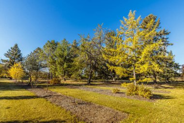 Patterson Garden is located in the U of S Lands South Management Area of Saskatoon.