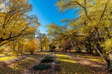 Patterson Garden is located in the U of S Lands South Management Area of Saskatoon.