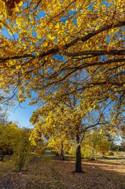 Patterson Garden is located in the U of S Lands South Management Area of Saskatoon.