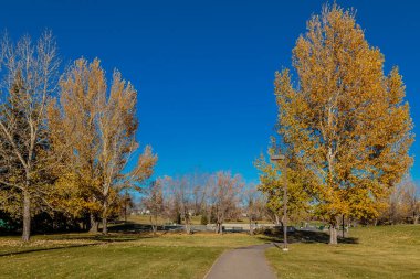 Victoria Park in Saskatoon, Canada. High quality photo
