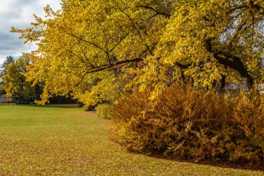 Wiggins Park is located in the Holliston neighborhood of Saskatoon.