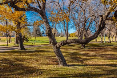 Victoria Park in Saskatoon, Canada. High quality photo