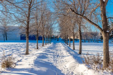 St. Patrick Park is located in the Greystone Heights neighborhood of Saskatoon.