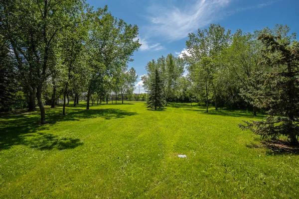 Der Meadowlark Park Liegt Adelaide Churchill Viertel Von Saskatoon — Stockfoto