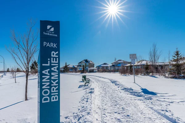 Donna Birkmaier Park Est Situé Dans Quartier Briarwood Saskatoon — Photo