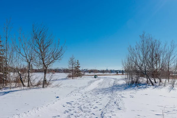 Donna Birkmaier Parkı Saskatoon Briarwood Mahallesinde Yer Almaktadır — Stok fotoğraf