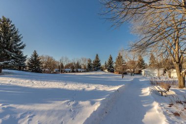 Albert Milne Park, Saskatoon 'un Greystone Heights mahallesinde yer almaktadır..