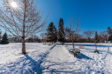 Ashworth Holmes Parkı Saskatoon 'un Caswell Hill mahallesinde yer almaktadır..