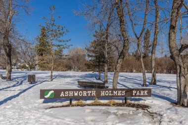 Ashworth Holmes Parkı Saskatoon 'un Caswell Hill mahallesinde yer almaktadır..