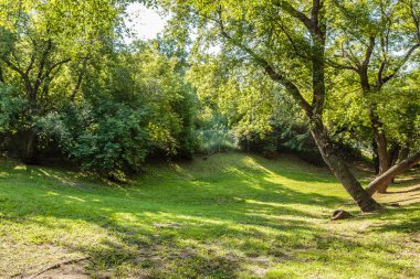 Poplar Park Saskatoon 'un Nutana mahallesinde yer almaktadır..