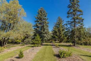 Patterson Garden is located in the U of S Lands South Management Area of Saskatoon.