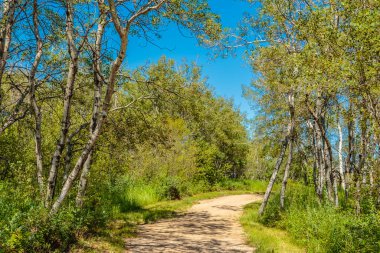 Patricia Roe Park is located in the Stonebridge neighborhood of Saskatoon.