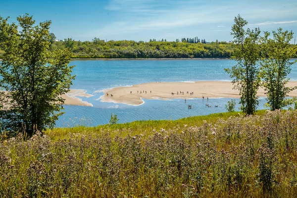 Pcr Banting Park Gelegen Wijk River Heights Saskatoon — Stockfoto