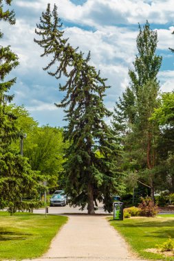 Başkan Murray Park, Saskatoon 'un Varsity View mahallesinde bulunuyor..