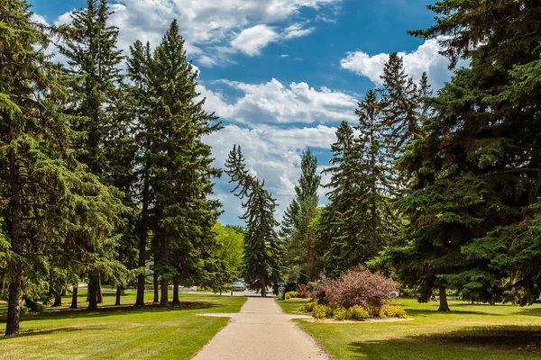 President Murray Park Located Varsity View Neighborhood Saskatoon — Zdjęcie stockowe