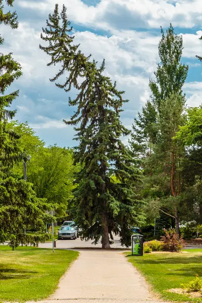 President Murray Park is located in the Varsity View neighborhood of Saskatoon.