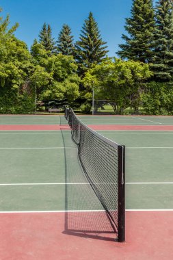 Albert Park, Saskatoon 'un Varsity View mahallesinde yer almaktadır..