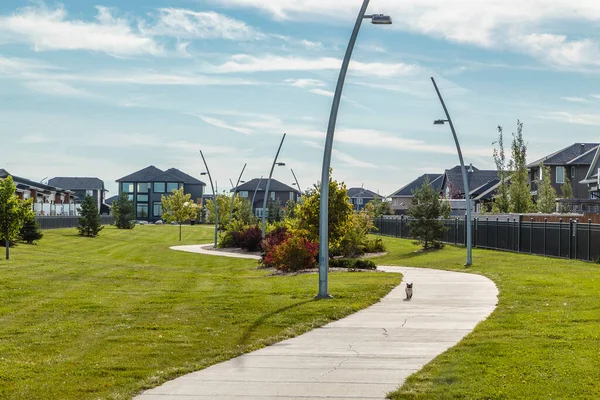 Elaine Hnatyshyn Parkı Saskatoon 'un Evergreen mahallesinde yer almaktadır..