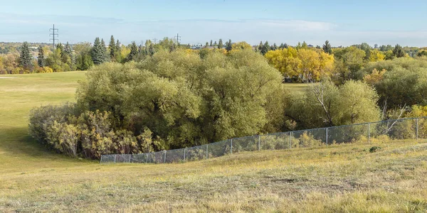 Diefenbaker Park Liegt Diefenbaker Management Area Von Saskatoon — Stockfoto