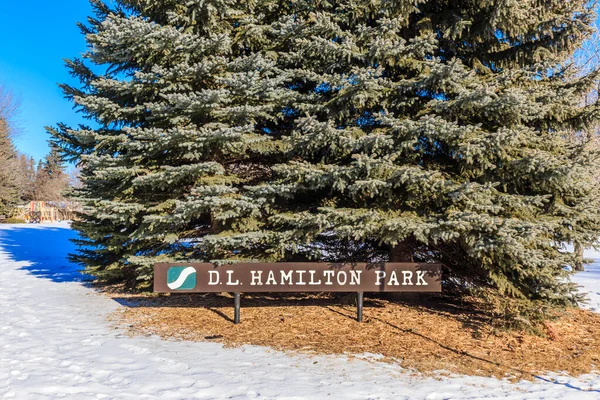 Hamilton Park Található Pleasant Hill Szomszédságában Saskatoon — Stock Fotó