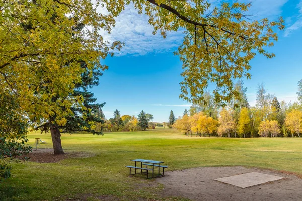 Diefenbaker Park Gelegen Het Diefenbaker Management Area Van Saskatoon — Stockfoto