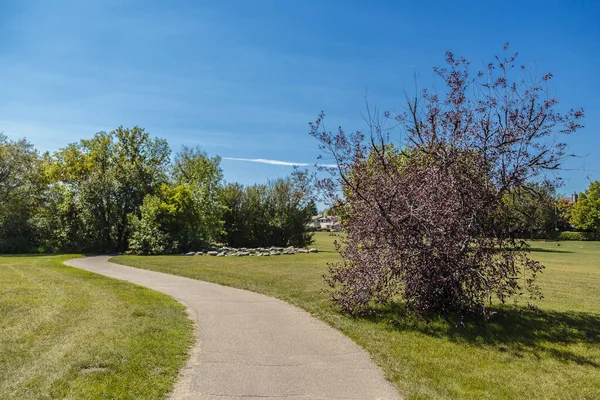 Der Meewasin Park Liegt River Heights Viertel Von Saskatoon — Stockfoto