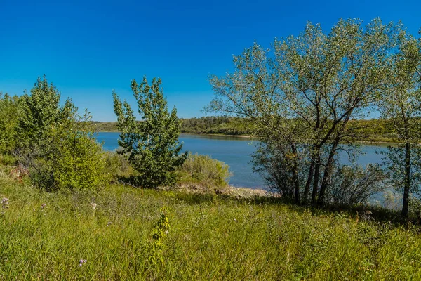 Der Meewasin Park Liegt River Heights Viertel Von Saskatoon — Stockfoto