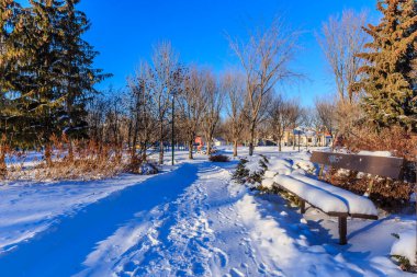 Exhibition Park is located in the Exhibition neighborhood of Saskatoon.