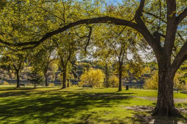Kiwanis Anıt Parkı Saskatoon 'un merkez iş bölgesinde yer almaktadır..