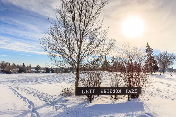 Leif Erikson Parkı Saskatoon 'un Westmount mahallesinde yer almaktadır..