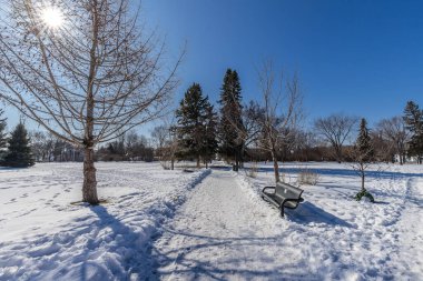 Ashworth Holmes Parkı Saskatoon 'un Caswell Hill mahallesinde yer almaktadır..