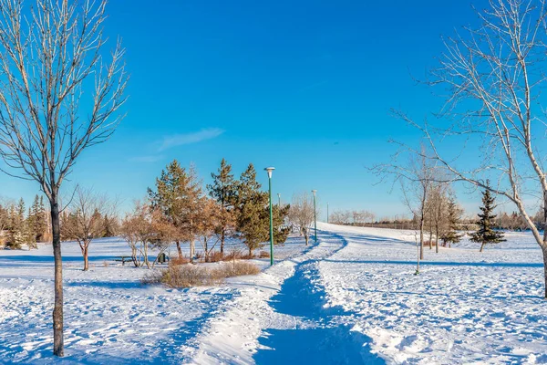Greystone Park Located Greystone Heights Neighborhood Saskatoon — 图库照片