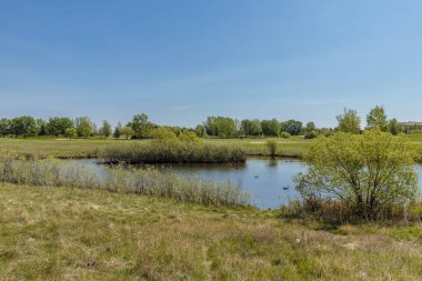 Lakewood Park Saskatoon 'un Wildwood mahallesinde yer almaktadır..