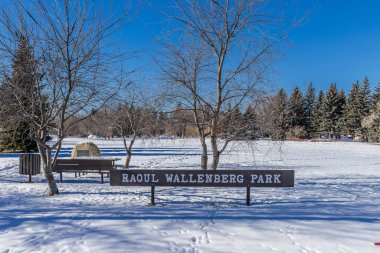 Raoul Wallenberg Parkı Saskatoon 'un Varsity View mahallesinde yer almaktadır..